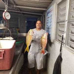 Meet your Posher, Jose